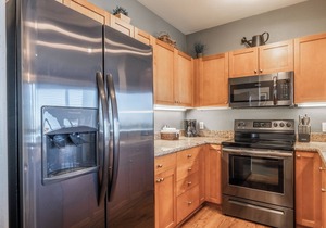 Eagle Run #204 - Luxury Ski-In Ski-Out/Slope-Side; 3 Bedroom in Mammoth Lakes