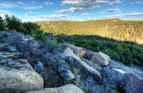 Weston Cabin | Rejuvenating bald eagle cabin with Shower Jacuzzi