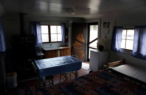 Bellvue Cabin | Rustic, Pet Friendly Cabin near the Cache la Poudre River, Perfect for a Mountain Getaway
