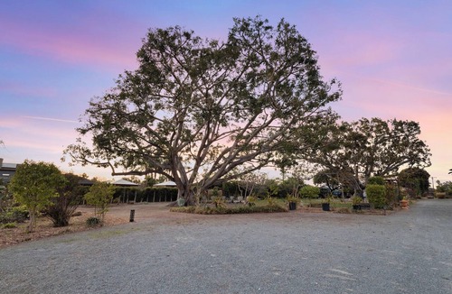 Lincoln Acres House | Spacious Historic Estate Pool, Spa & Lush Private Grounds