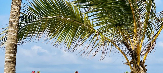 2-bedroom Diani Beach apartment paradise on delightful Diani Beach with WiFi, AC in Diani Beach
