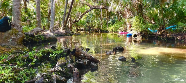 Affordable Chasshideaway @ChazzMinido in Homosassa
