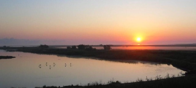 Air-conditioned Flamingo room with pond view (free breakfast). in Saintes-Maries-de-la-Mer