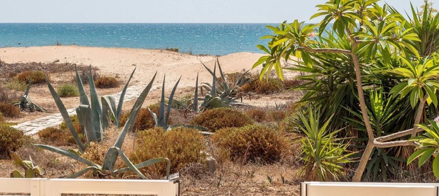 Amarillis, Wohnung am Strand by Interhome in Punta Secca