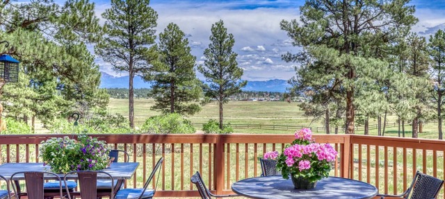 Antelope Ranch: Luxury Amenities, Stunning Views, Near Shops/Dining/Springs. 30 Min to Wolf Creek! in Pagosa Springs