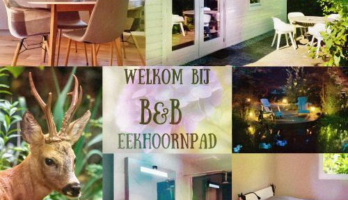 B&B Eekhoornpad in Tilburg