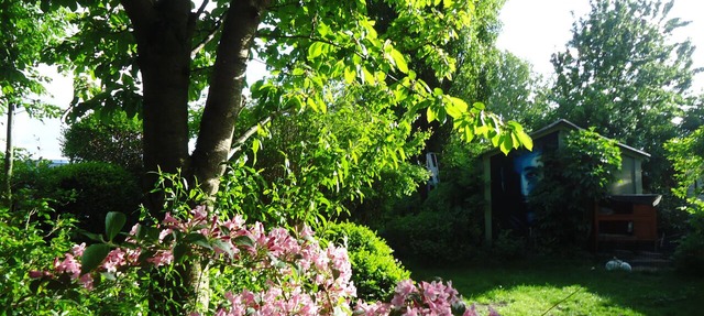 Bed and Breakfast: Private Accommodation at Amsterdam Houseboat in Amsterdam