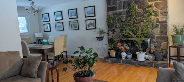 Charming studio in bungalow in green area. in Ottawa