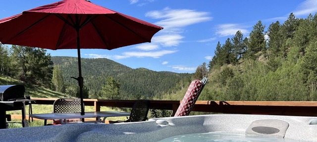 Cozy cabin. Quiet valley. Hot tub & views. Close to everything CO has to offer. in Divide