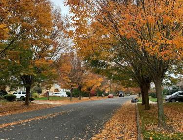 Cozy1B1B W Private Entrance in Jericho