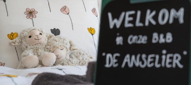 De Anselier in Ansen