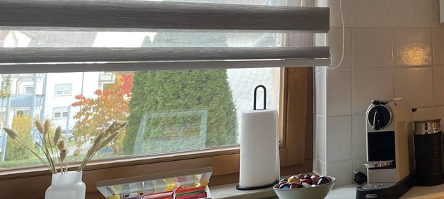 ☆ Double Apartment I 4 room I 110sqm I Kitchen, BLK in Renningen