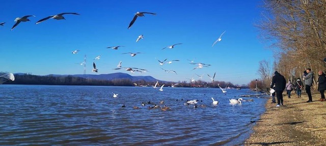Duna Riverside in Dunakeszi
