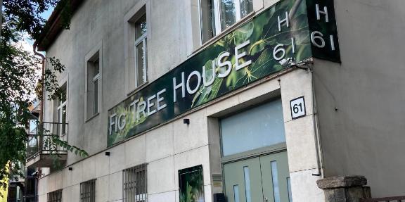 Fig Tree House in Budapest