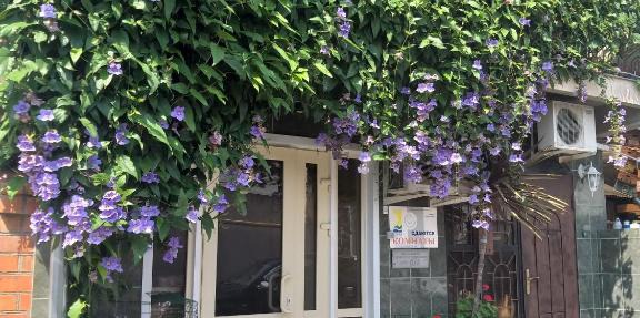 Guest House SanLara in Adler