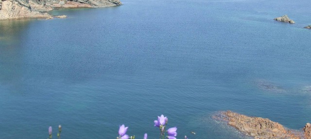 Hikers paradise, main trails 5 min. walk. in durrell