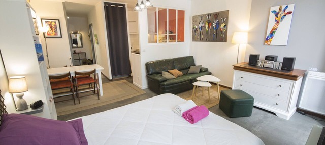 Large studio 36m2 facing south and bordering Place Marcadieu in Tarbes