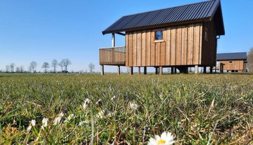 Lodge by Dutch Meadows with Scenic Veranda in Ruinerwold