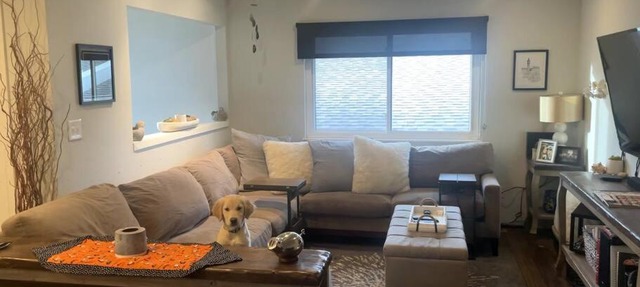 Pet friendly in Boulder! Minutes from CU & Pearl! in Boulder