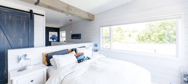 Salty By The Sea & Garden Shed - Upper Island Cove in Upper Island Cove