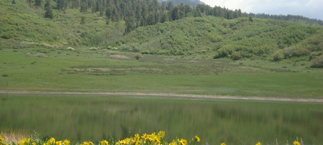 Secluded Mountain Retreat With Pond Bordering National Forest! in Pagosa Springs