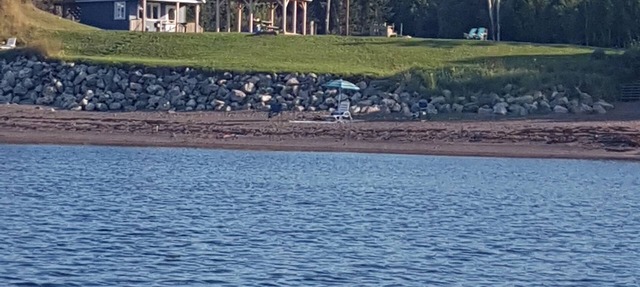 Secluded Ocean Front Cottage in Tracadie