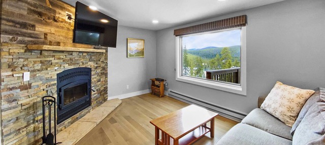 Ski Area/Mountain Views, Remodeled, Close to Town and Skiing - Great Divide 2 in Breckenridge