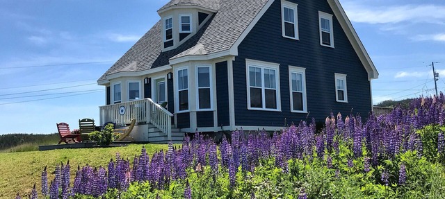 Stunning Ocean View Vacation Home, Trinity NL in Trinity