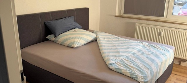 Temporary accommodation/Fitters' apartment Zwickau-Mosel in Zwickau