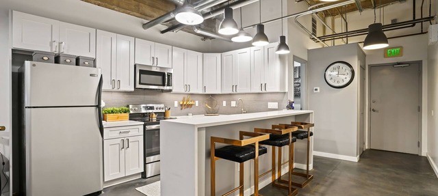The Elegant Loft in Denver