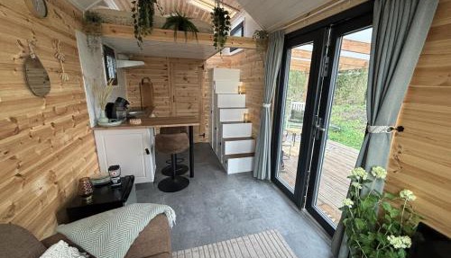 Tiny forest lodge with direct access to forest and nature in Anloo