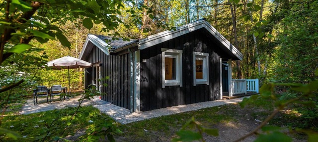 Vakantiepark De Wiltzangh - Stuga 4 in Ruinen