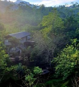 Willow's Abode in Kandy