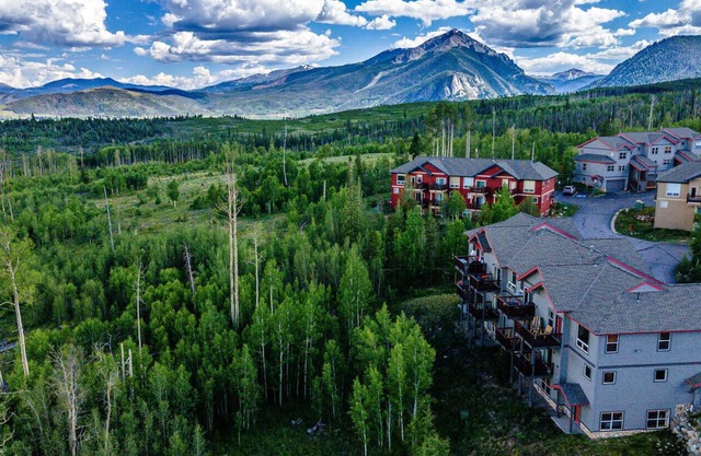 Silverthorne 