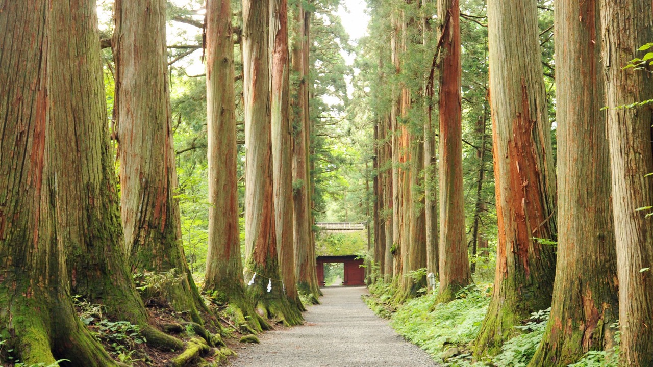 Photo of Others in Yudanaka Shibu Onsen