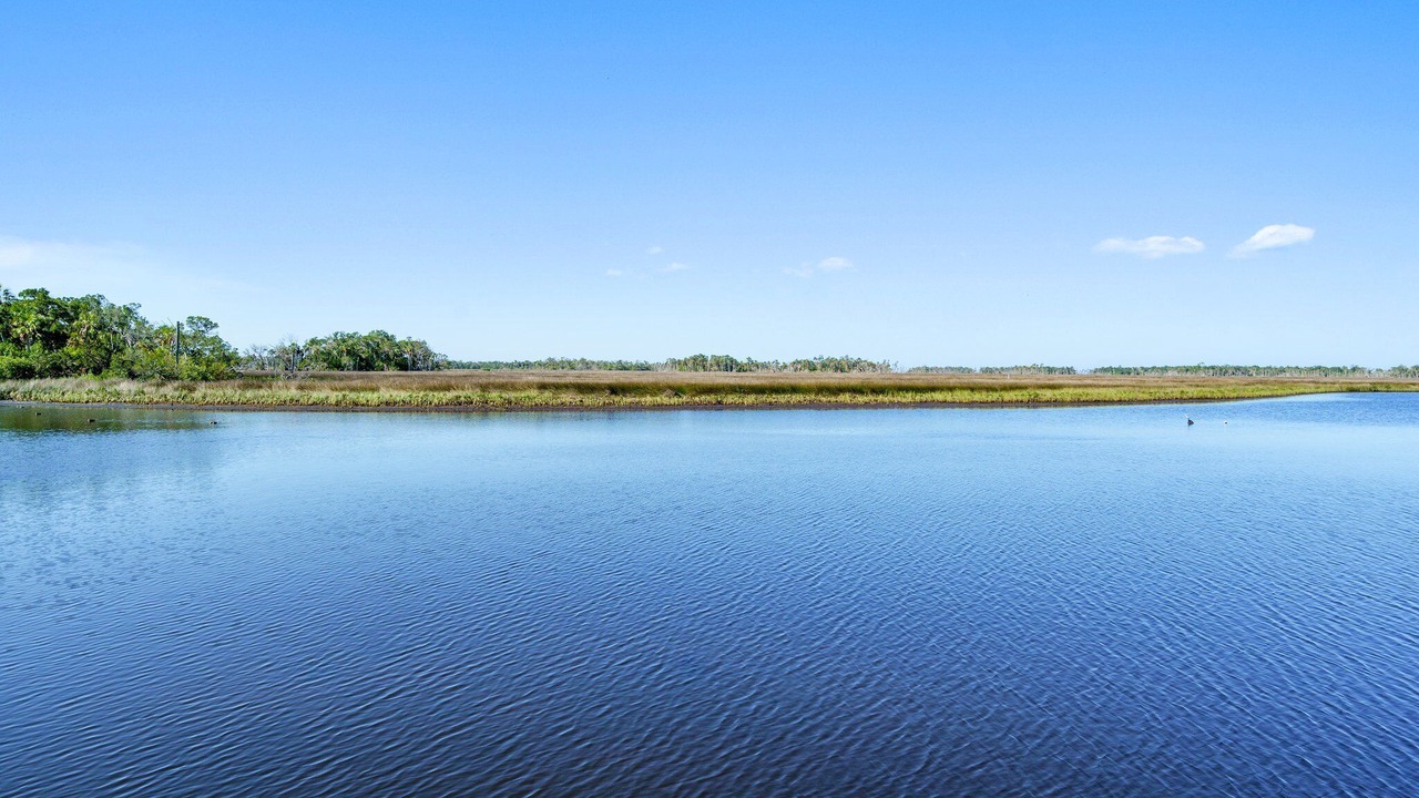 Photo of Others in Old Homosassa