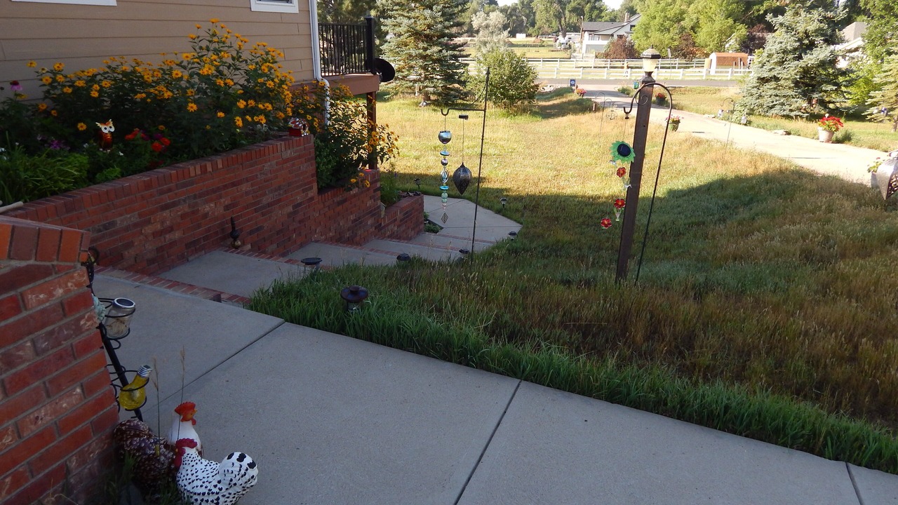 Photo of Outdoor in Fort Collins