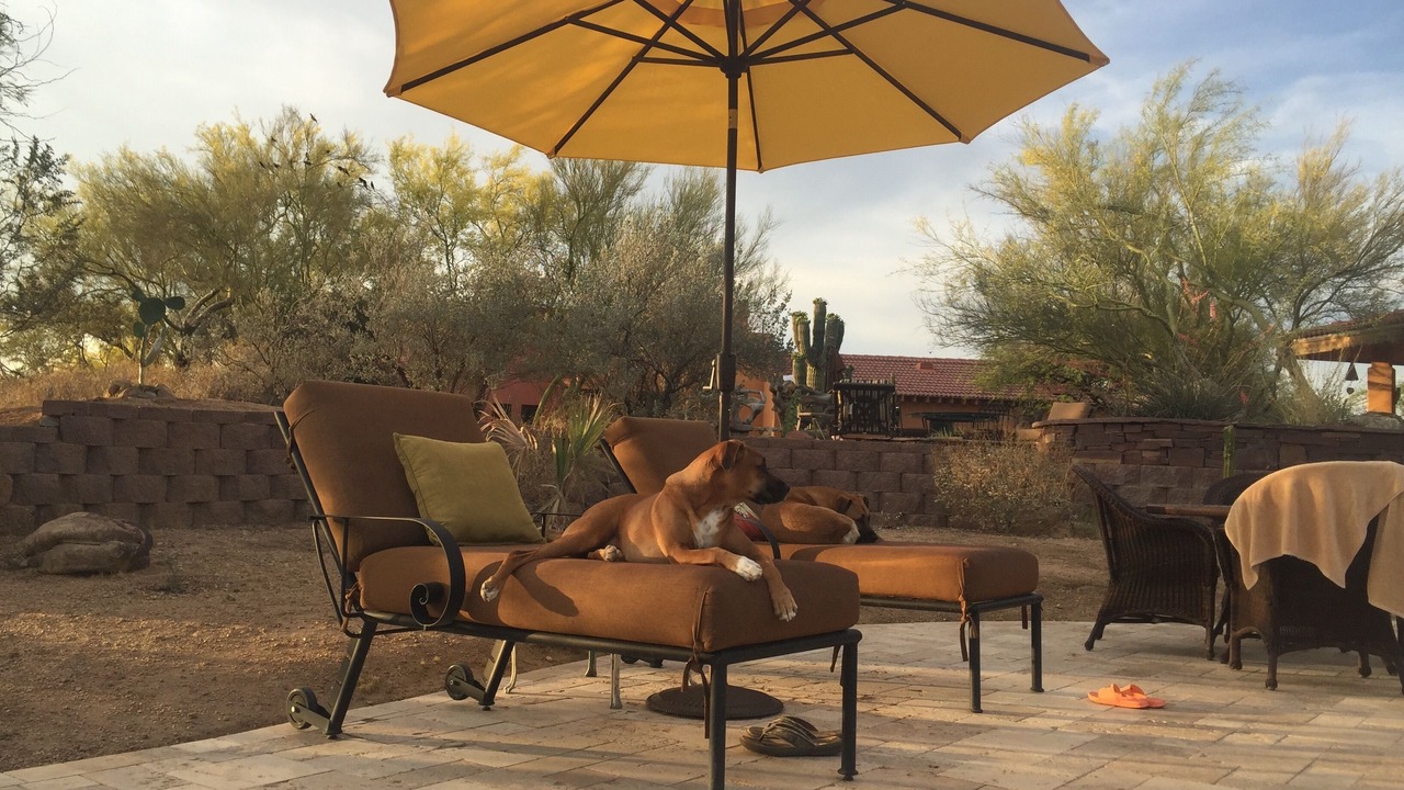 Photo of Others in North Scottsdale