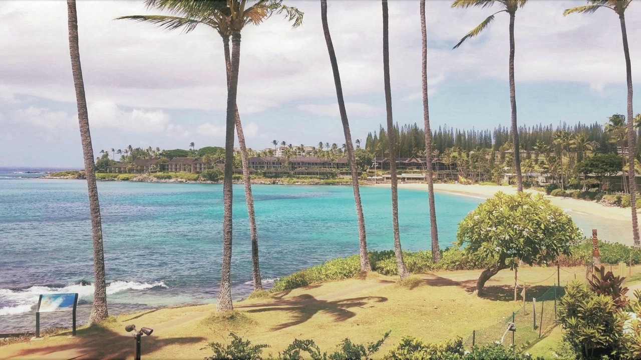 Photo of Others in Napili