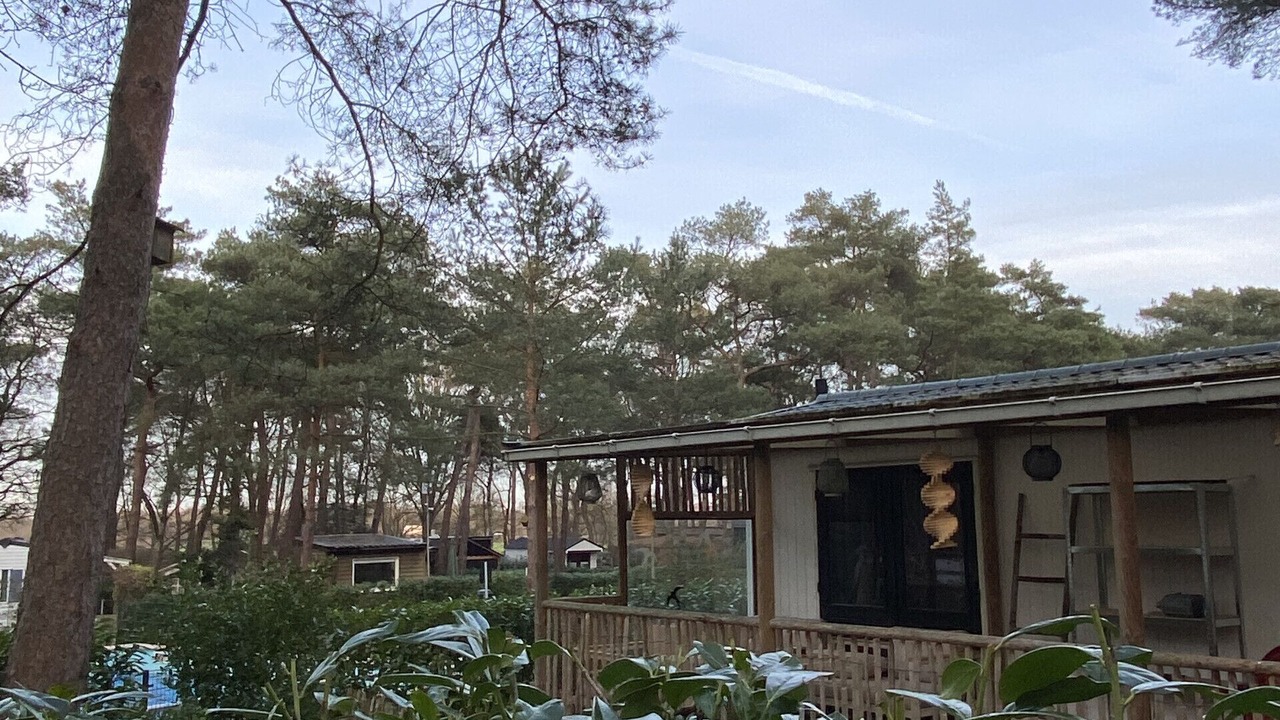 Photo of Others in Zuidwolde