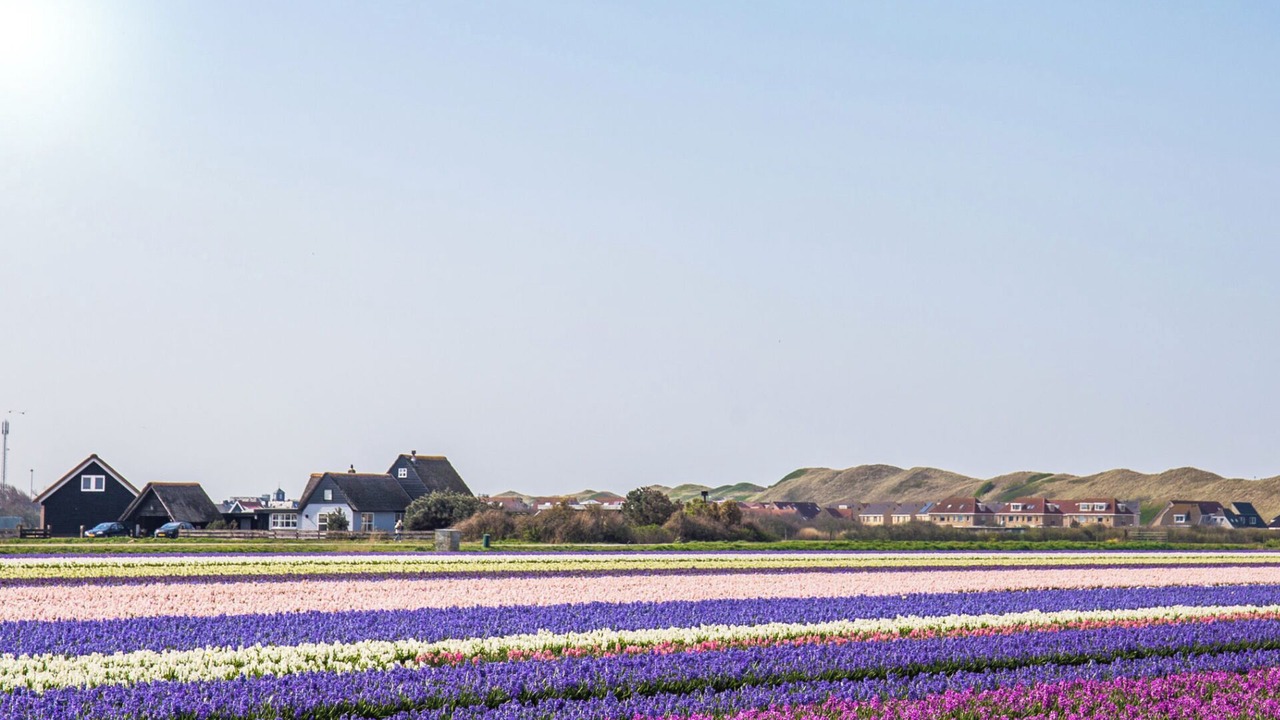 Photo of Others in Julianadorp aan zee