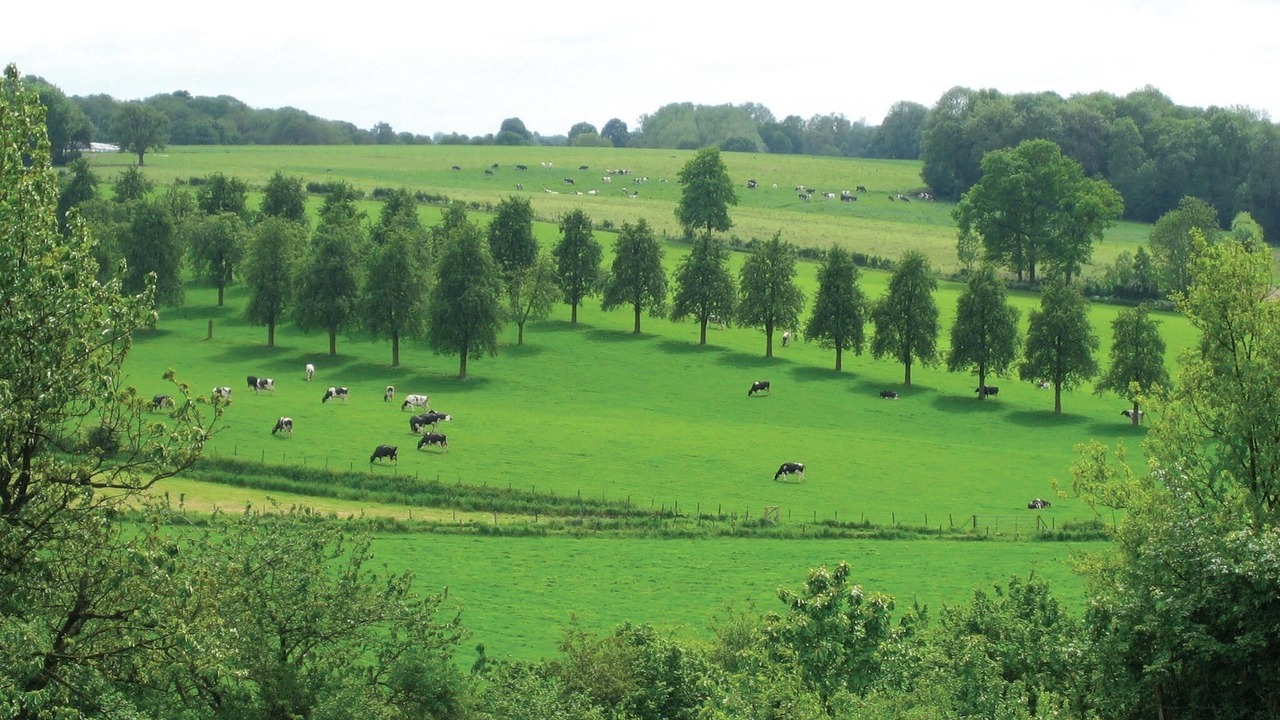 Photo of Outdoor in Noorbeek