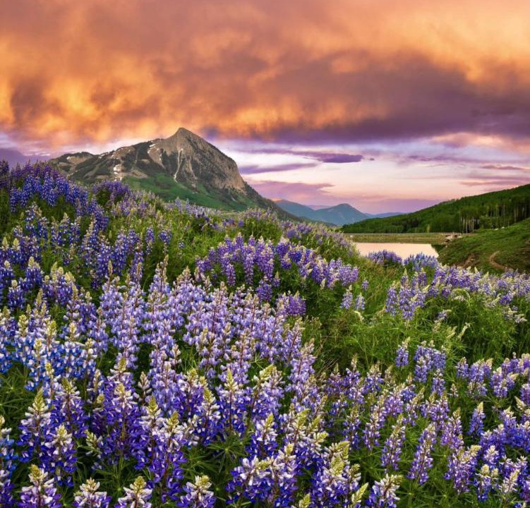 Photo of Others in Mount Crested Butte