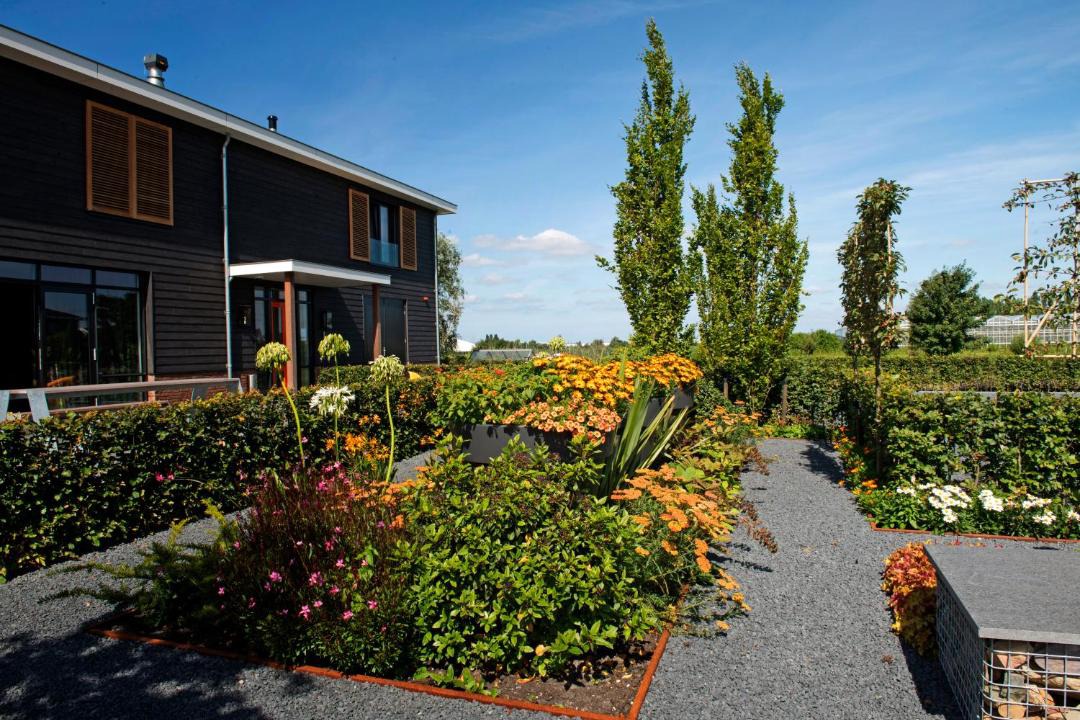 Photo of Others in Roelofarendsveen