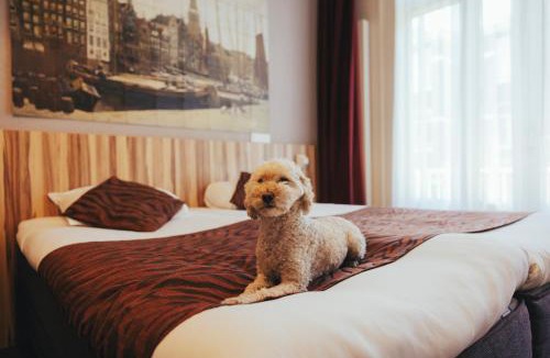 De Weteringschans Hotel | Boutique Hotel Asterisk, a family run hotel