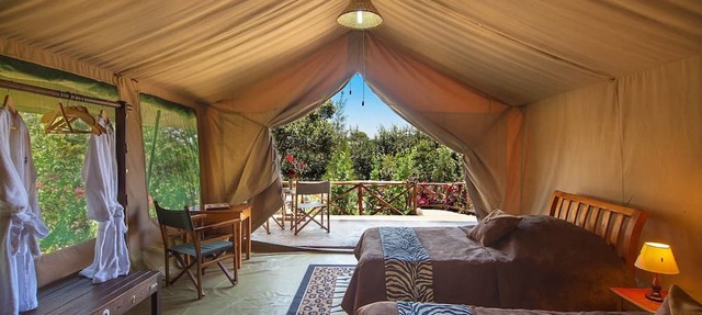 Rhino Watch safari Lodge in Nyahururu