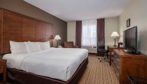 Comfort Inn - Gander in Gander